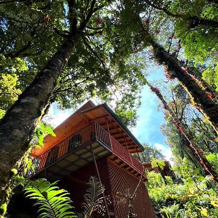 Cabana Anturios San José Exterior foto