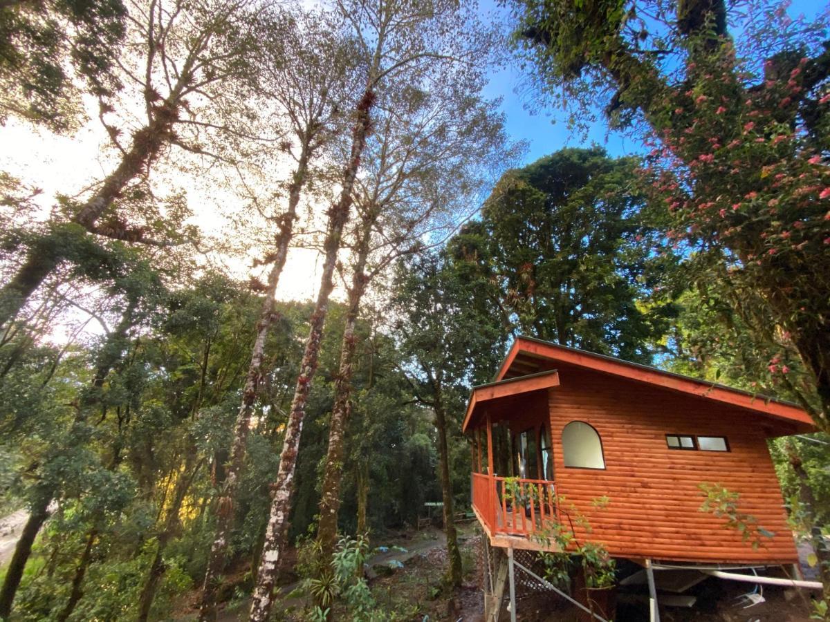 Cabana Anturios San José Exterior foto