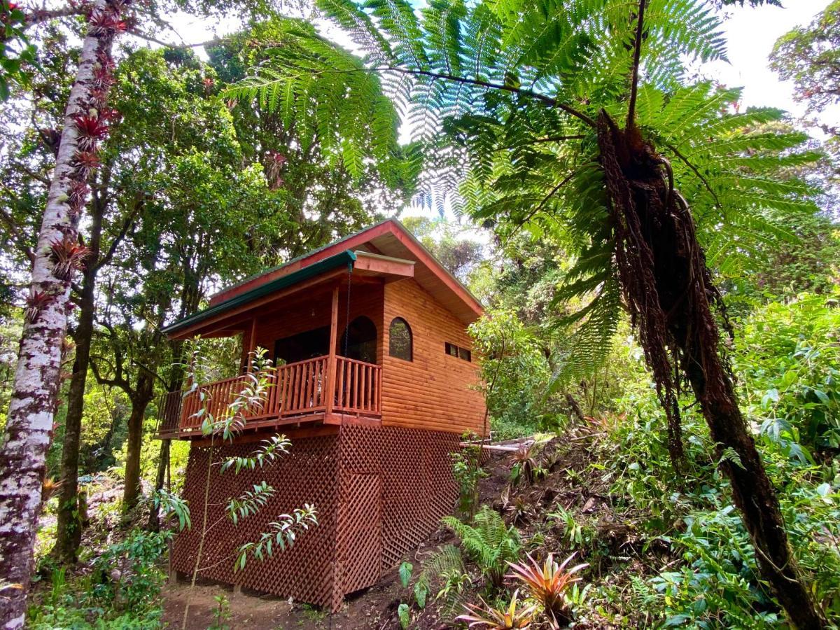 Cabana Anturios San José Exterior foto