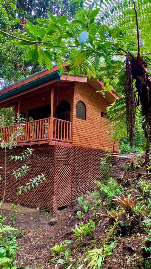 Cabana Anturios San José Exterior foto
